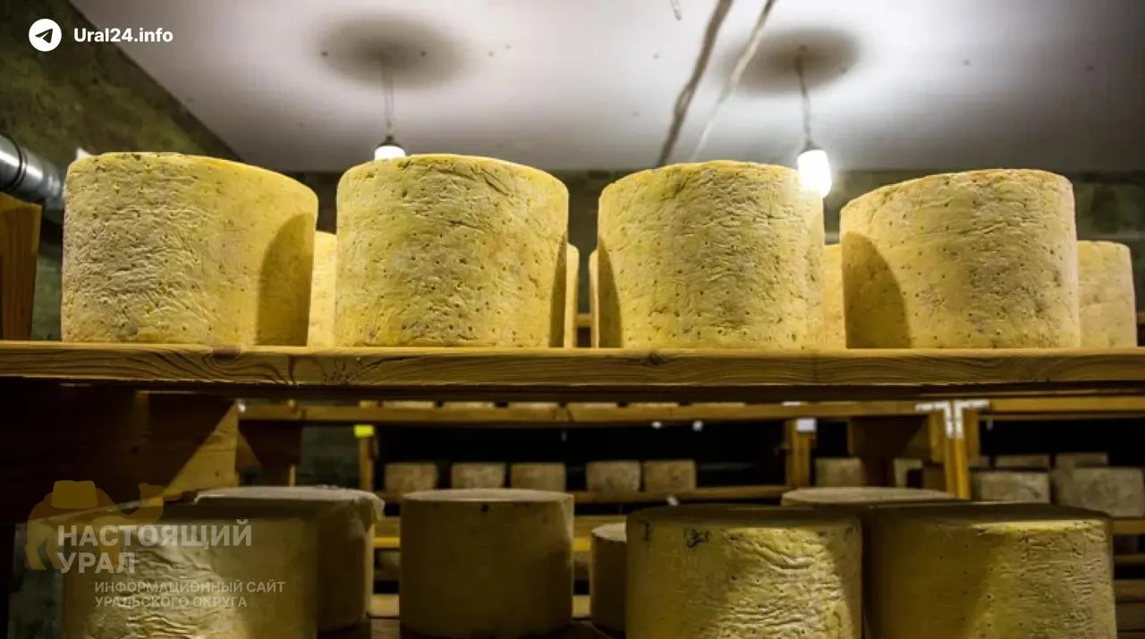 Маслосырзавод в селе Чаши остановил работу: продукцию утилизировали из‑за истёкшего срока годности, предприятие выставлено на продажу, против гендиректора возбуждено уголовное дело за невыплату зарплат.