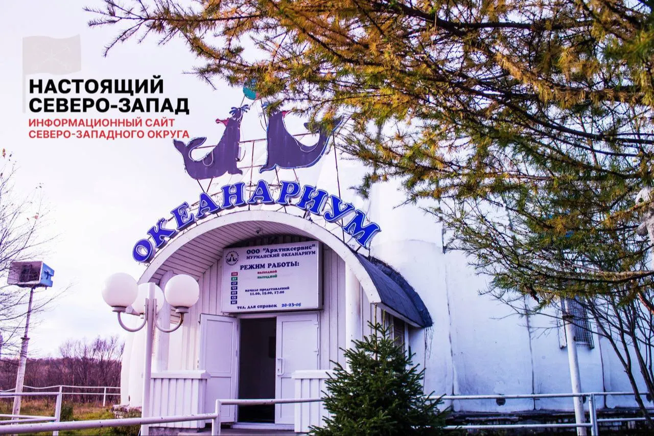 Около десяти сотрудников ухаживают за животными в закрытом на ремонт мурманском океанариуме, но зарплаты им не выплачивают свыше трёх месяцев; работники обратились в прокуратуру и надеются на помощь властей.