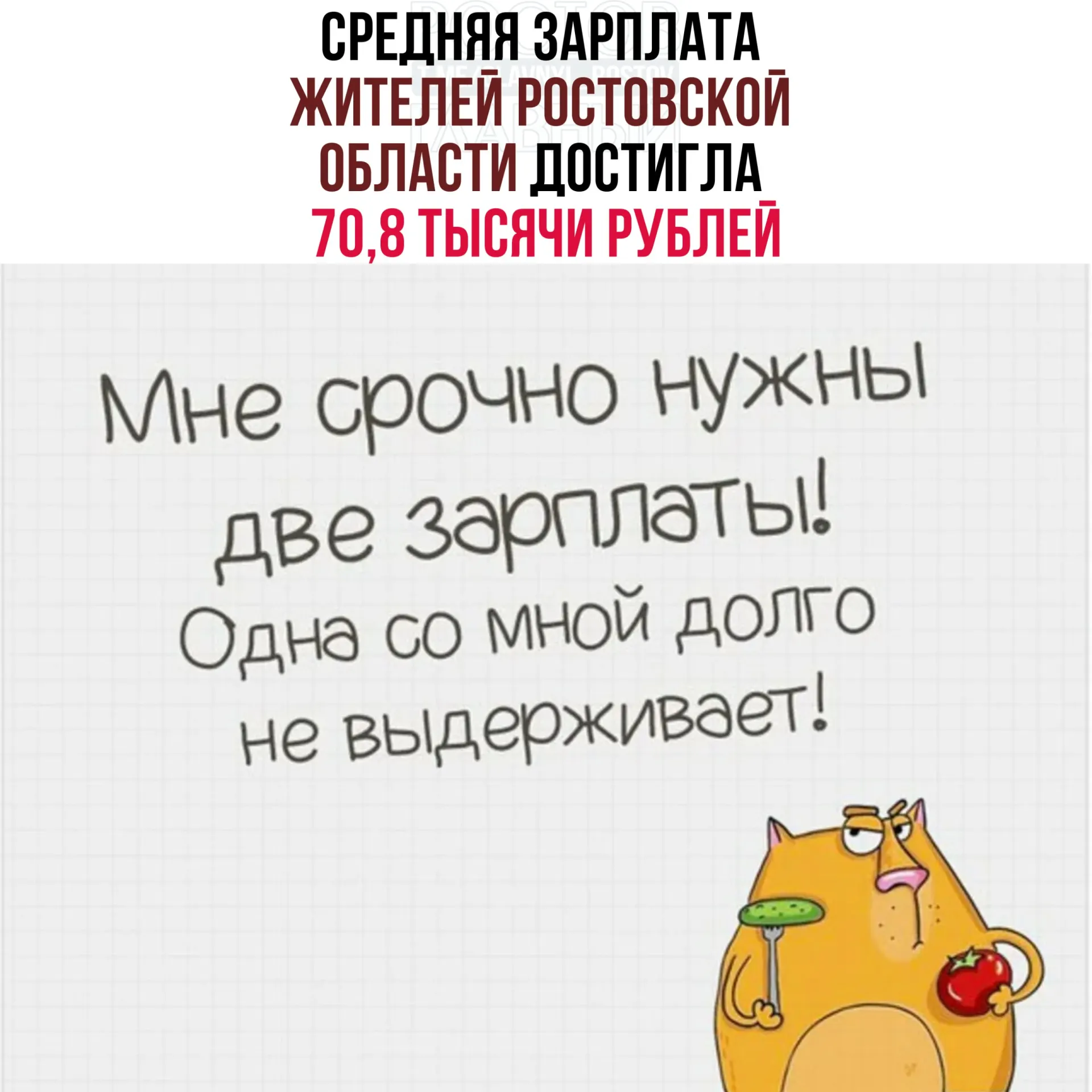 В 2025 году средняя зарплата жителей Ростовской области выросла до 70,8 тысячи рублей (рост на 13,9%). Среднедушевые денежные доходы увеличились на 15,3% и составили 64,4 тысячи рублей.