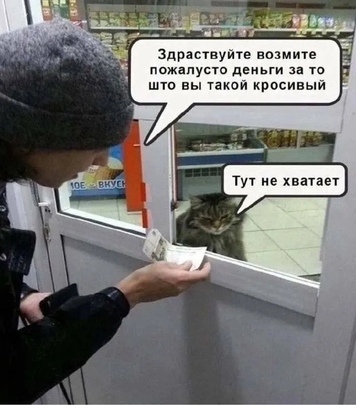 По данным FinExpertiza, средняя зарплата мужчин в Омской области — 85 954 ₽, женщин — 53 469 ₽; самый большой разрыв — в культуре, спорте и развлечениях.