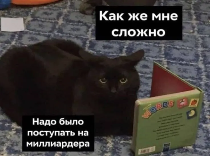 По прогнозам, через 12 лет около 75% жителей Омской области смогут зарабатывать по 200 тыс. руб. в месяц. Регион опустился в годовом рейтинге доходов с 43-го на 50-е место.