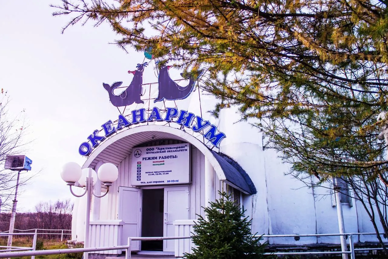 Около десяти работников северного океанариума уже 110 дней не получают оплату труда. Владелец арестован, корм для животных пока закупает представитель собственника, сотрудники обращались в прокуратуру и надеются на помощь властей.