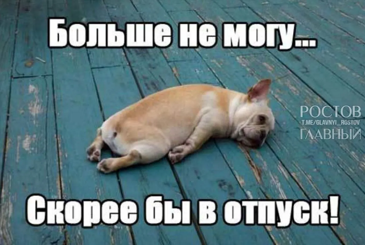 Депутаты Госдумы предлагают повысить минимальный размер ежегодного отпуска до 35 дней, чтобы компенсировать включённые в отпуск выходные и помочь сотрудникам лучше отдыхать и избежать выгорания.