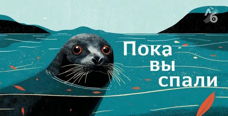 Подборка новостей: условно-досрочное освобождение учителей, реформа самоуправления в Коми, судебное решение для бывшего заключённого, предложение снизить возраст детского труда, запрет на ввоз овощей из Армении и восстановление интернета в Иране.