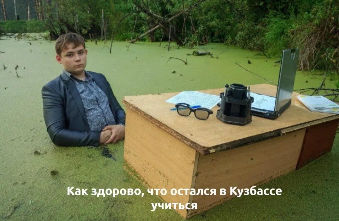 За пять лет в Кемеровской области число студентов вузов увеличилось примерно на 5 тысяч; учащихся средних профессиональных программ (парикмахеры, слесари, повара и др.) стало больше на 10 тысяч с 2021 года.