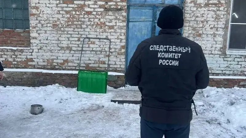 Следствие считает, что директор допустил к работам сотрудника без обучения по охране труда — в результате 10 февраля работник упал в ёмкость с гречкой и погиб на месте.