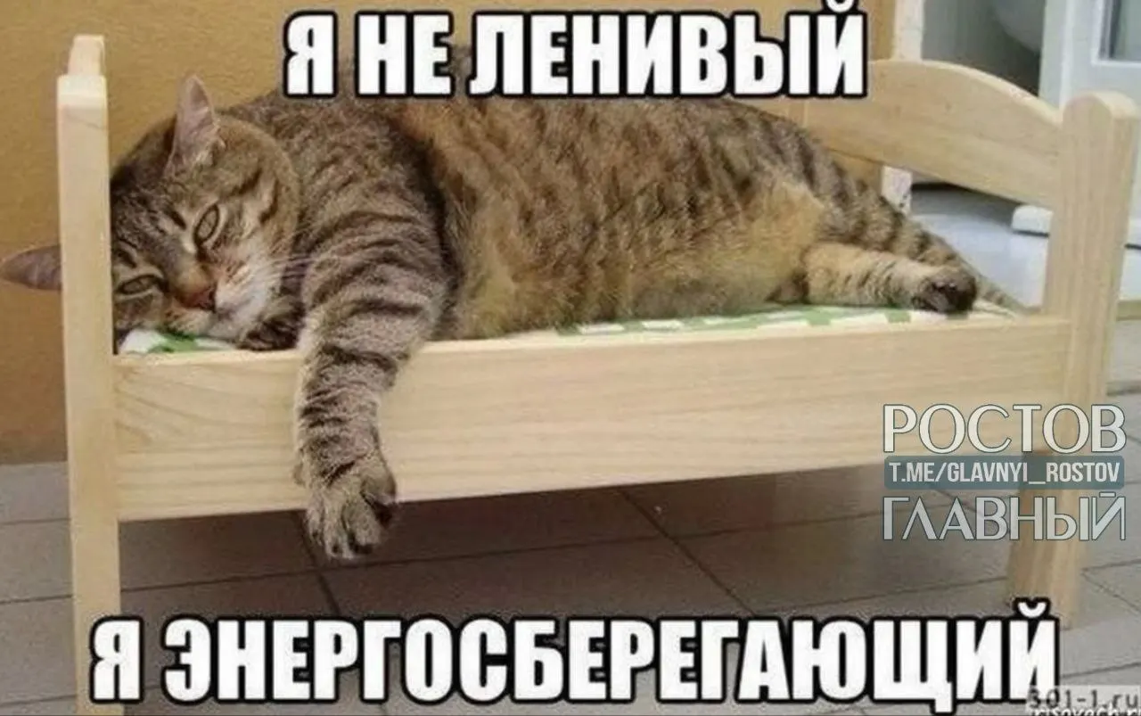 В опросе выяснили: в Нижнем Новгороде, Перми и Воронеже чаще хотят сократить рабочий день до шести часов; петербуржцы — вовсе не работать; а на юге, в Краснодаре и Ростове-на-Дону, больше всего трудоголиков.