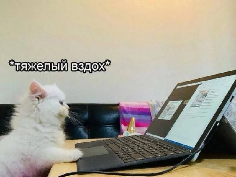 Четырёхдневная рабочая неделя пока не&nbsp;рассматривается