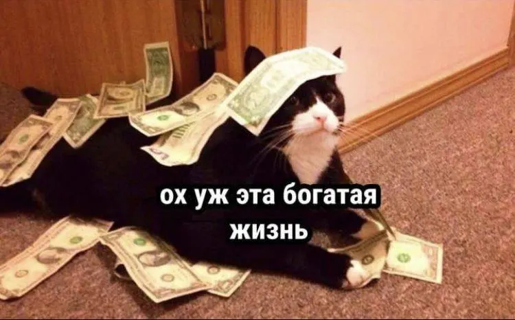 В апреле 2026 года средняя номинальная зарплата в Санкт‑Петербурге составила 128 509 рублей. Самые высокие доходы — в добыче полезных ископаемых и транспорте.