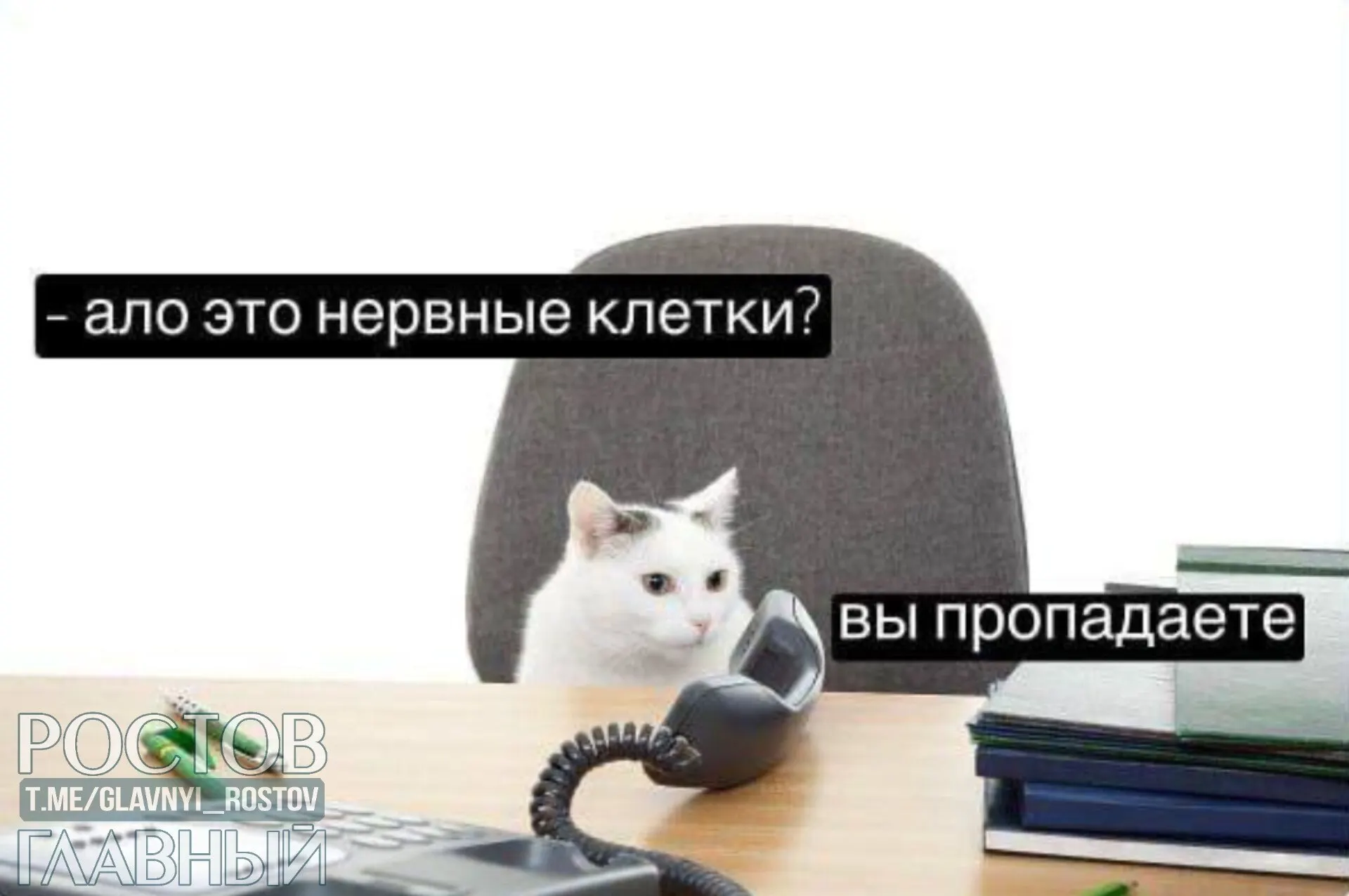 Опрос показал, что большинство россиян признают себя трудоголиками: многие работают больше положенного, в выходные и даже во время отпуска.