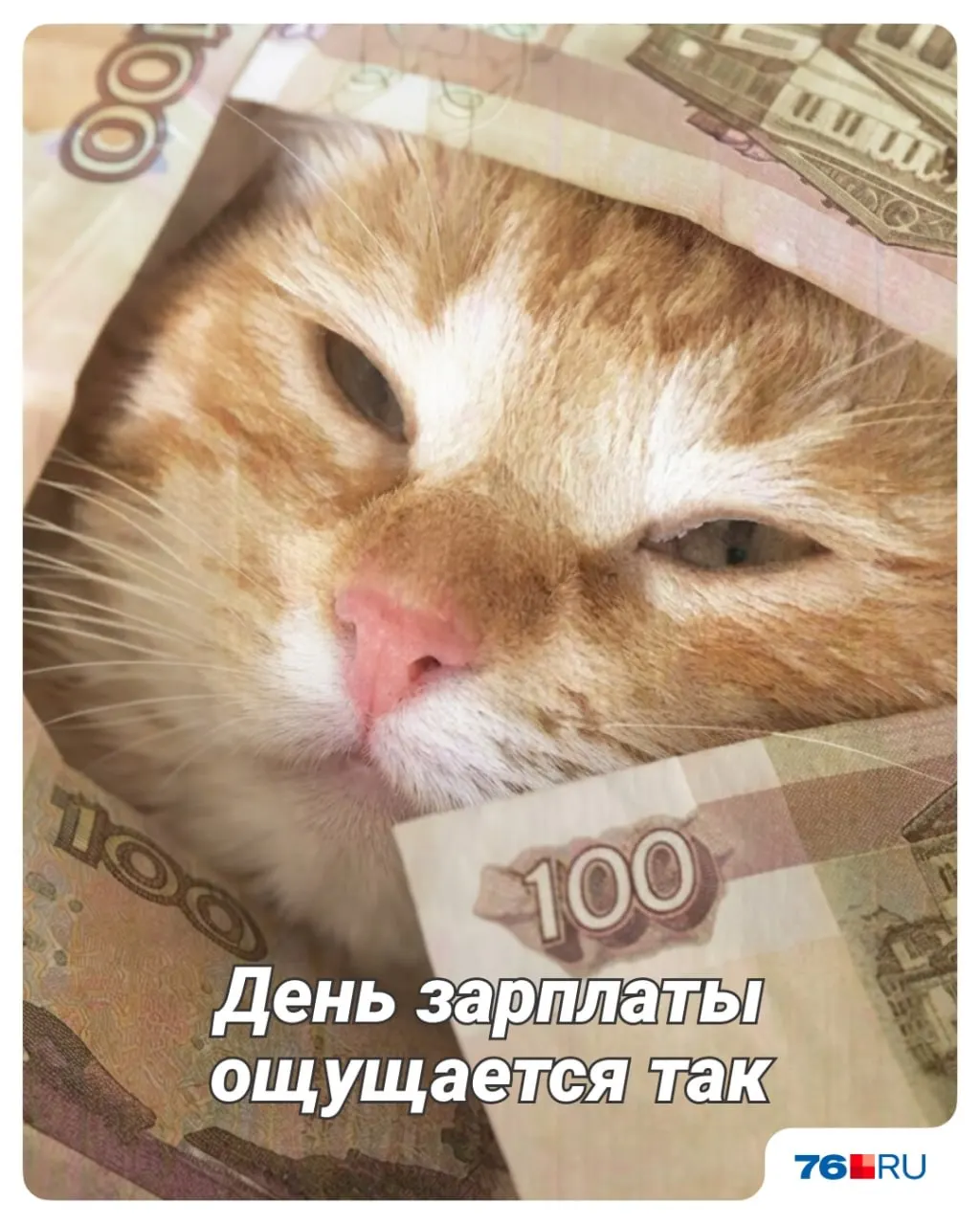 Сервис по трудоустройству назвал пять самых высокооплачиваемых вакансий в регионе. Главное требование работодателей — наличие опыта.
