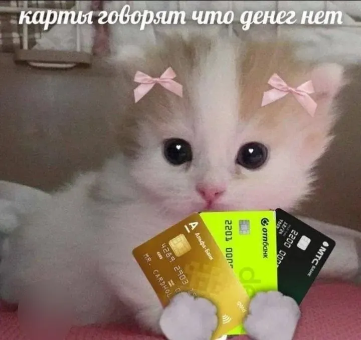 По результатам опроса 2 000 россиян молодые специалисты 18–24 лет в Карелии назвали желаемый стартовый доход около 83 422 рублей в месяц.
