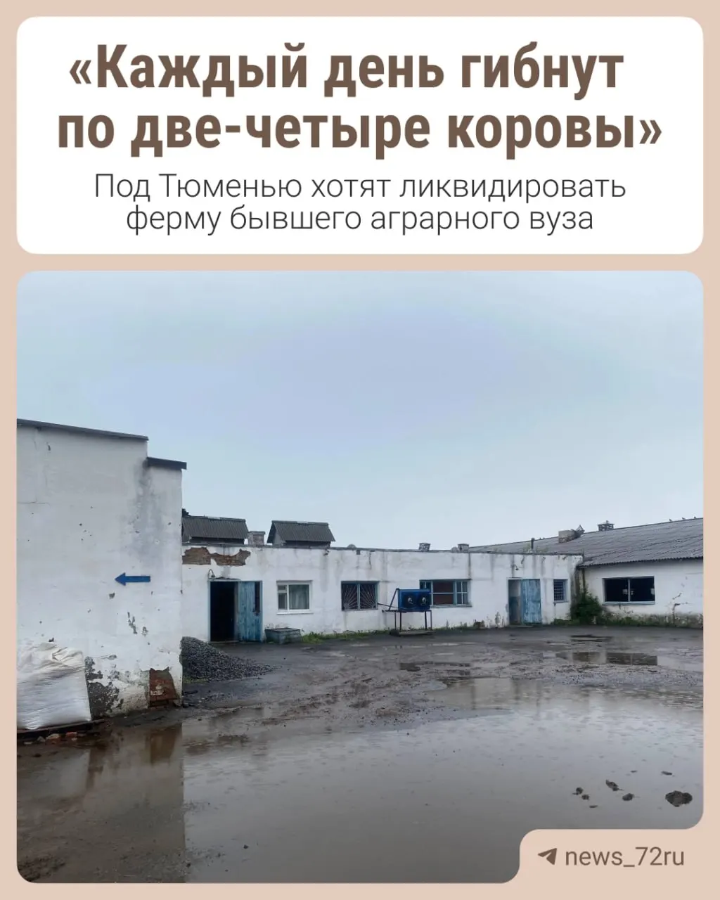 В учебно-опытном хозяйстве, вошедшем в состав ТюмГУ, по словам местных жителей массово увольняют сотрудников и готовятся полностью свернуть животноводство, оставив только поля и семеноводство.