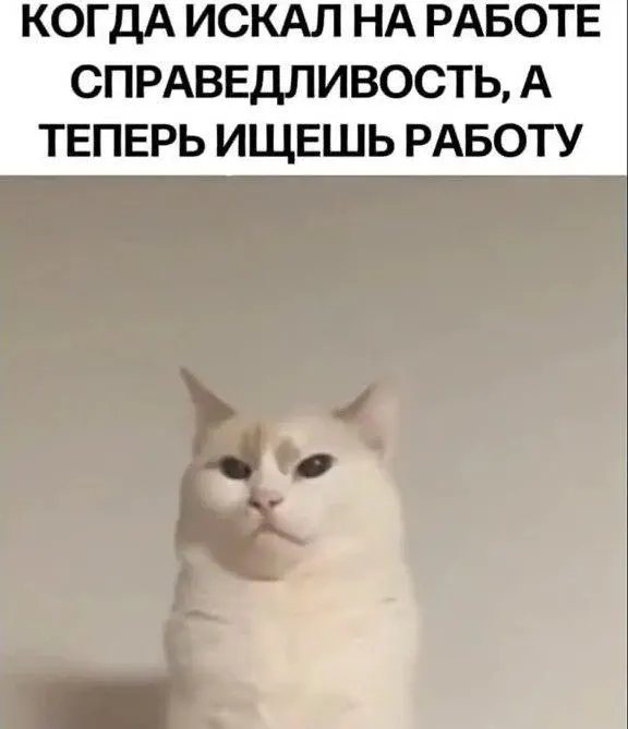 Опрос сервисов SuperJob и проекта Dream Job показал: жители Саратова чаще всего отмечают агрессию со стороны начальства, но особенно не терпят фаворитизм и несправедливую оценку труда.