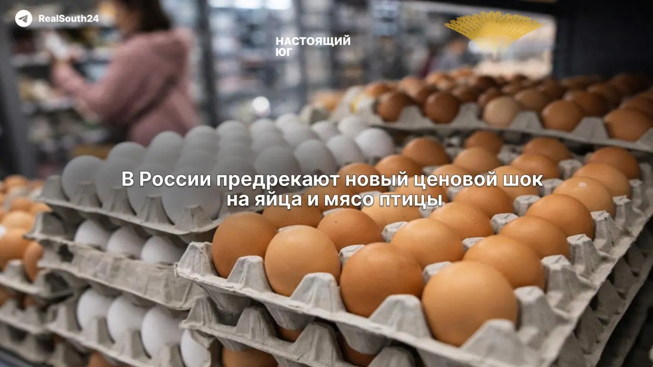 Рентабельность предприятий упала до 6–7% при необходимой норме в 15%. Из‑за роста цен на корма, логистику, топливо и высоких ставок кредитов компании сокращают штат и планируют переложить расходы на покупателей — что может спровоцировать подорожание других видов мяса.