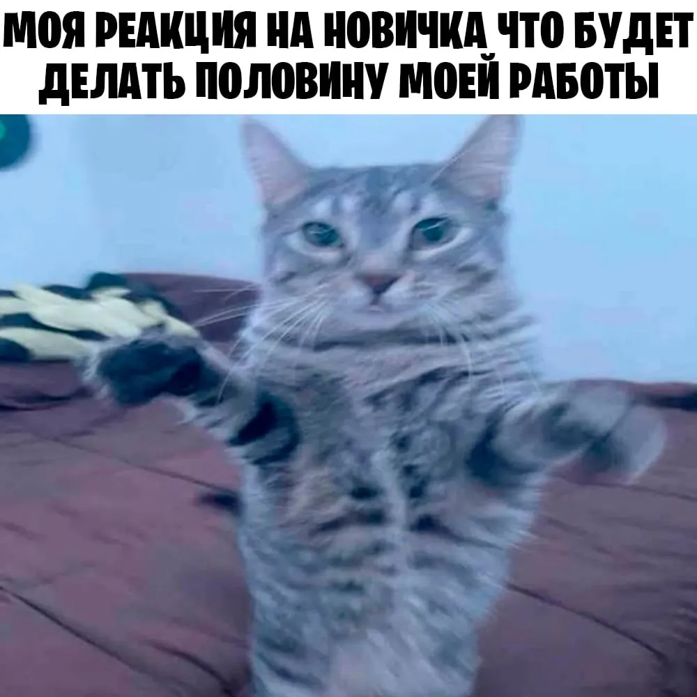 В первом полугодии спрос на кузнецов вырос на 141% — работодатели предлагают в среднем свыше 130 тысяч рублей, а компании готовы обучать кандидатов без опыта.
